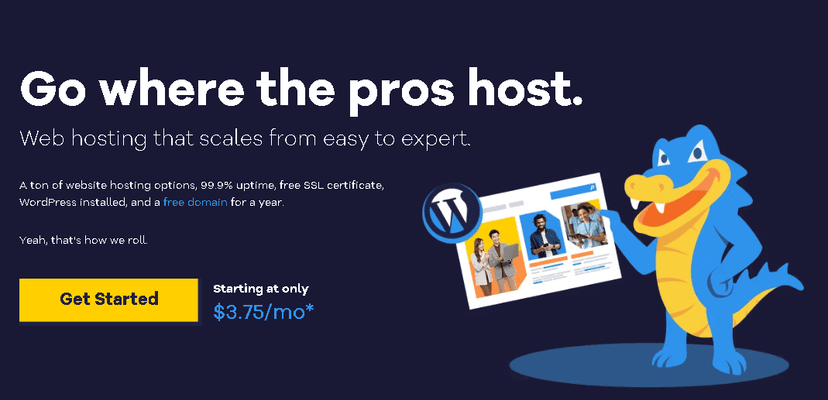 HostGator Review 2025 - Is It Still a Good Choice for Web Hosting?